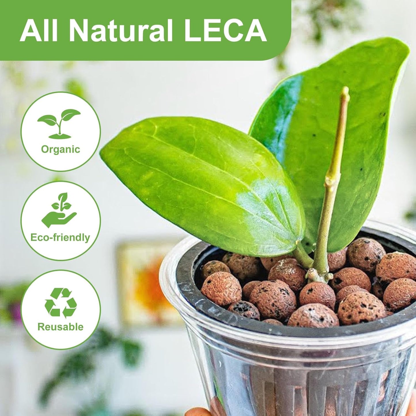 Guijarros LECA 2.5lb para plantas drenaje hidroponía