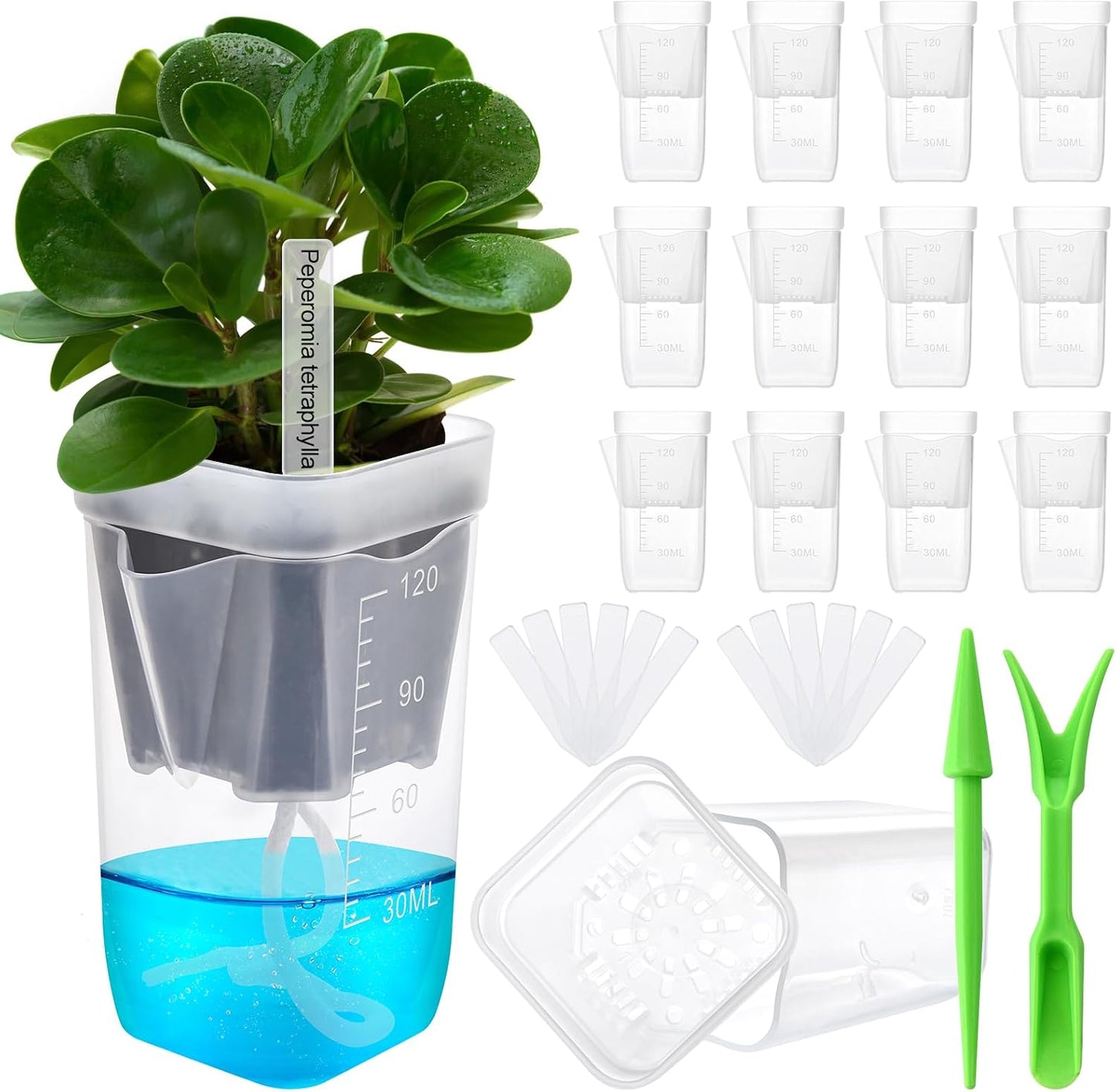 12 Macetas Riego Automático Plástico 2pulg Transparente