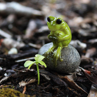 Jardín hadas mini 1.75pulg rana piedra