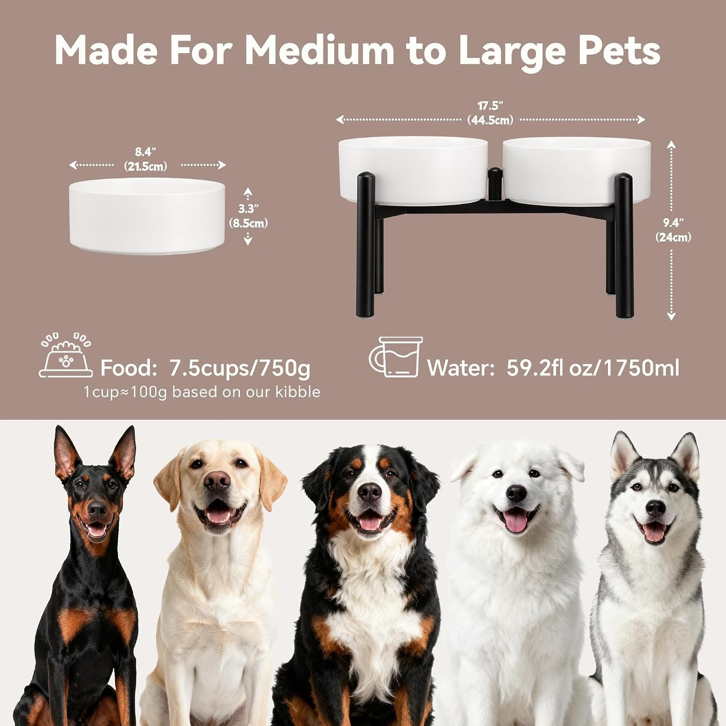 Cuencos elevados perros cerámica acero inox antideslizante