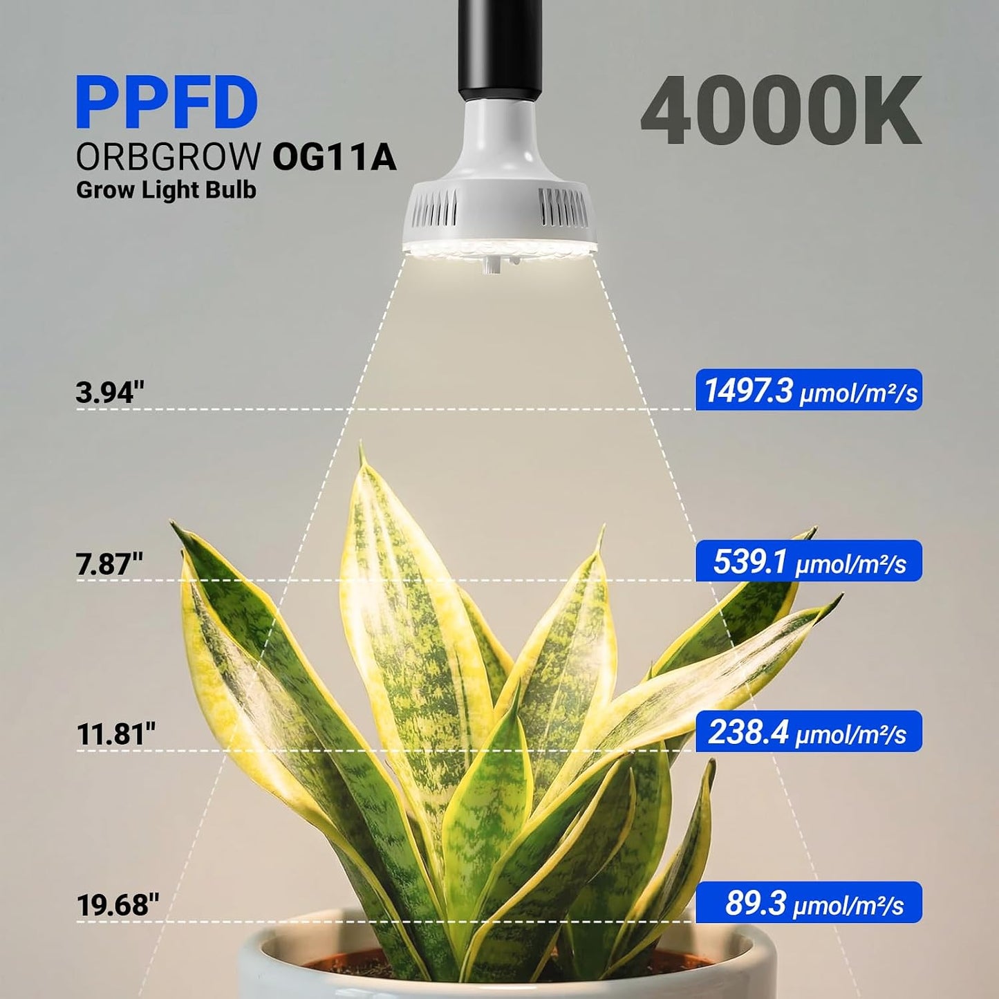 Bombilla cultivo E26 4000K 11W espectro completo
