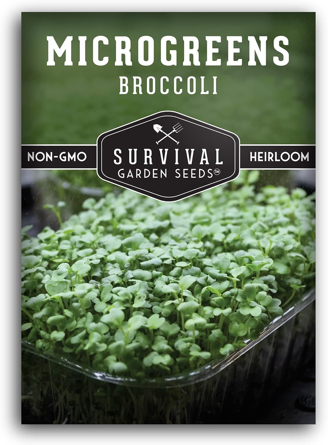 Paquete semillas microgreens brócoli para cultivo interior