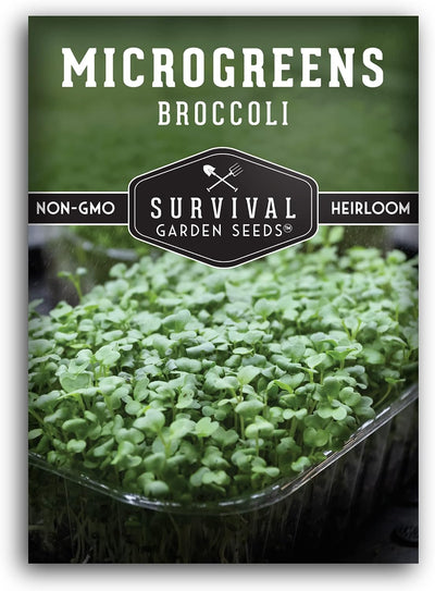 Paquete semillas microgreens brócoli para cultivo interior