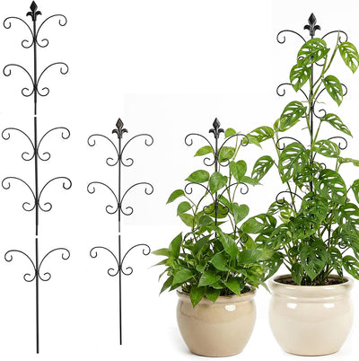 2 Estacas Metal para Monstera 31.5x46.5pulg Negro