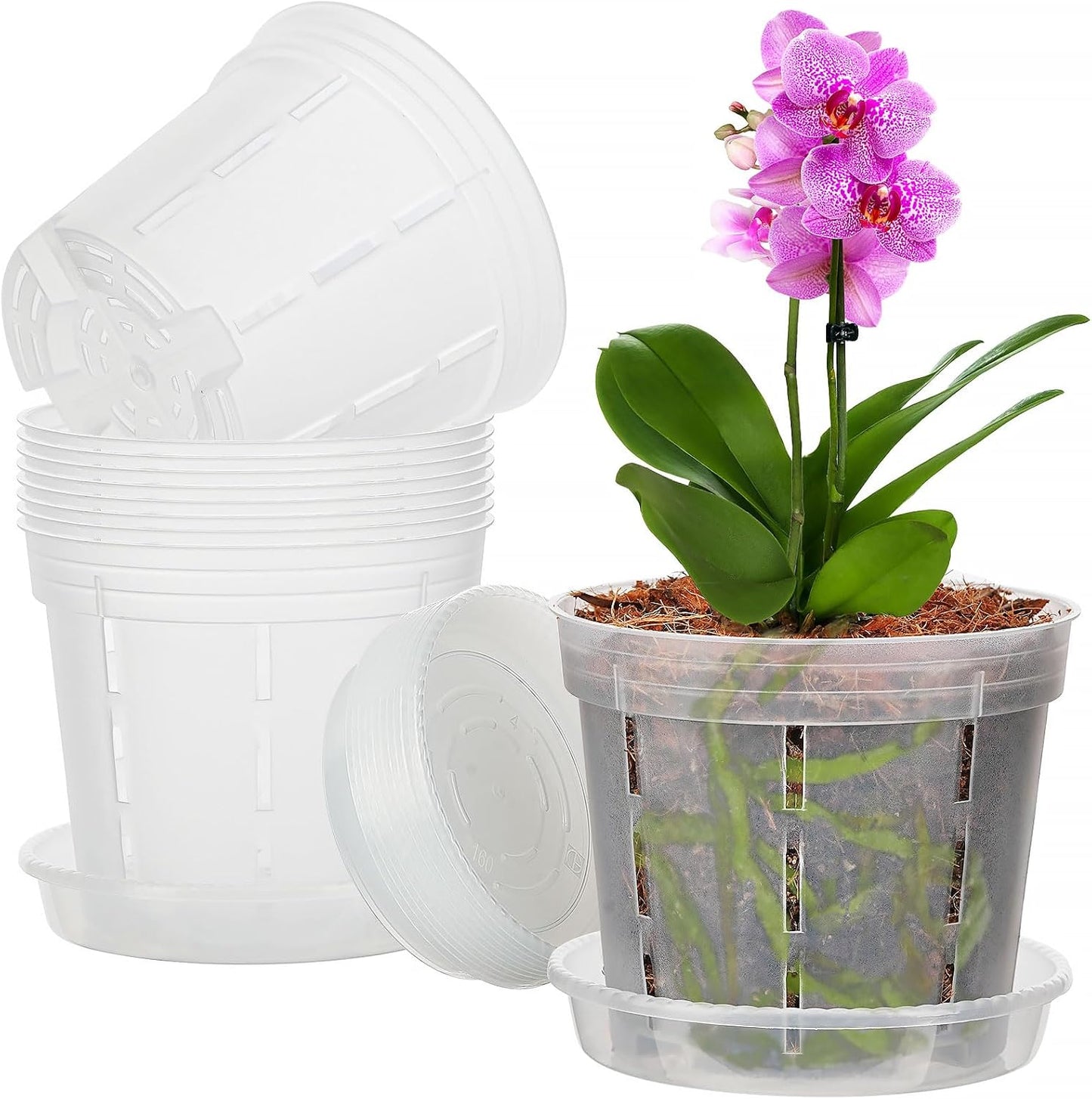 Maceta plástico transpirable 6pulg 10 Pzas violeta