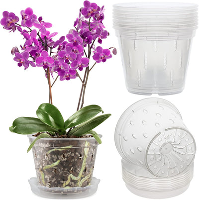 8 Macetas Orquídeas Plástico Transparente 5.5pulg Con Platillos