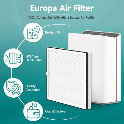 Filtro aire Europa 3en1 H13 HEPA con carbón 2 Pzas