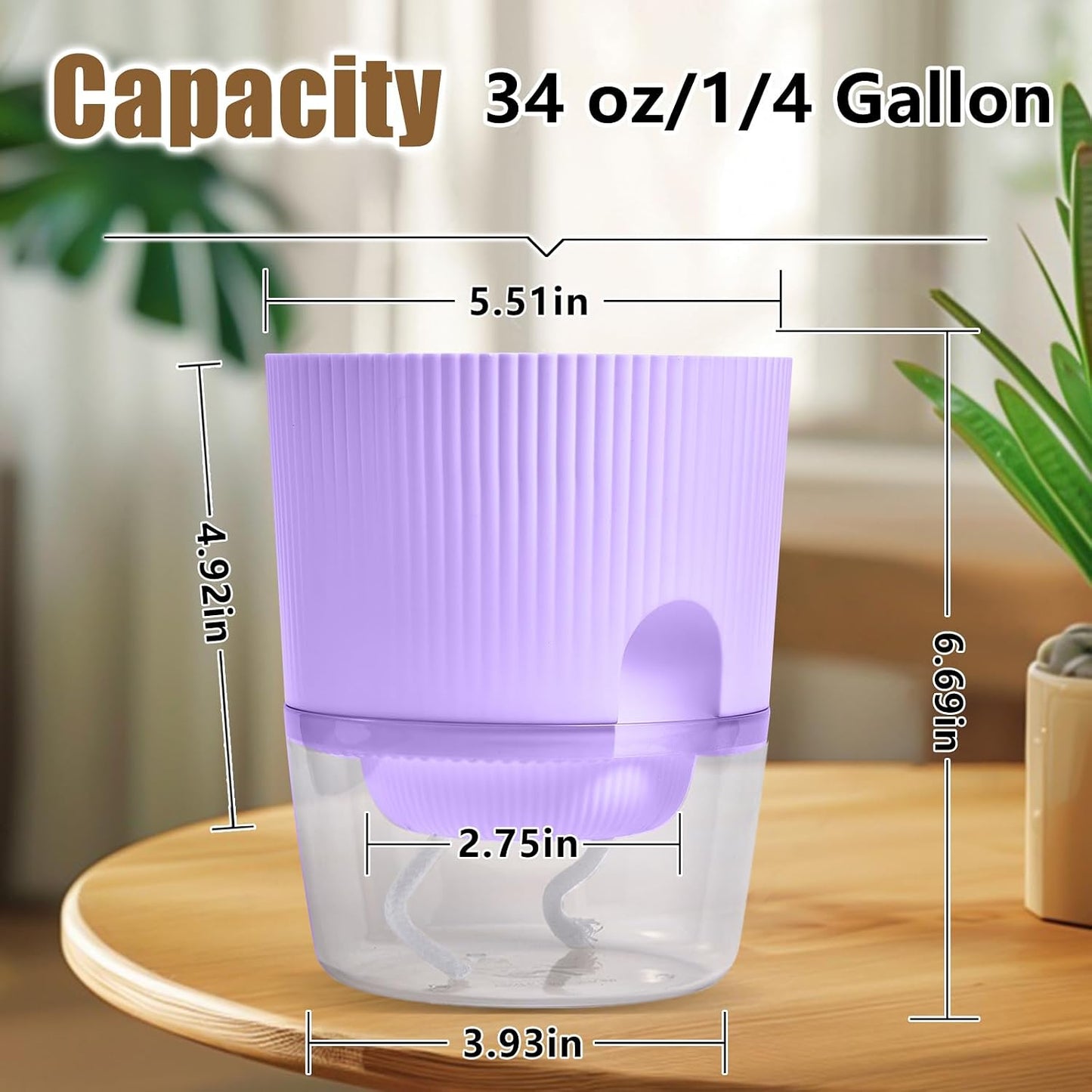 Maceta riego automático 5.5pulg violeta africana cuerda morado