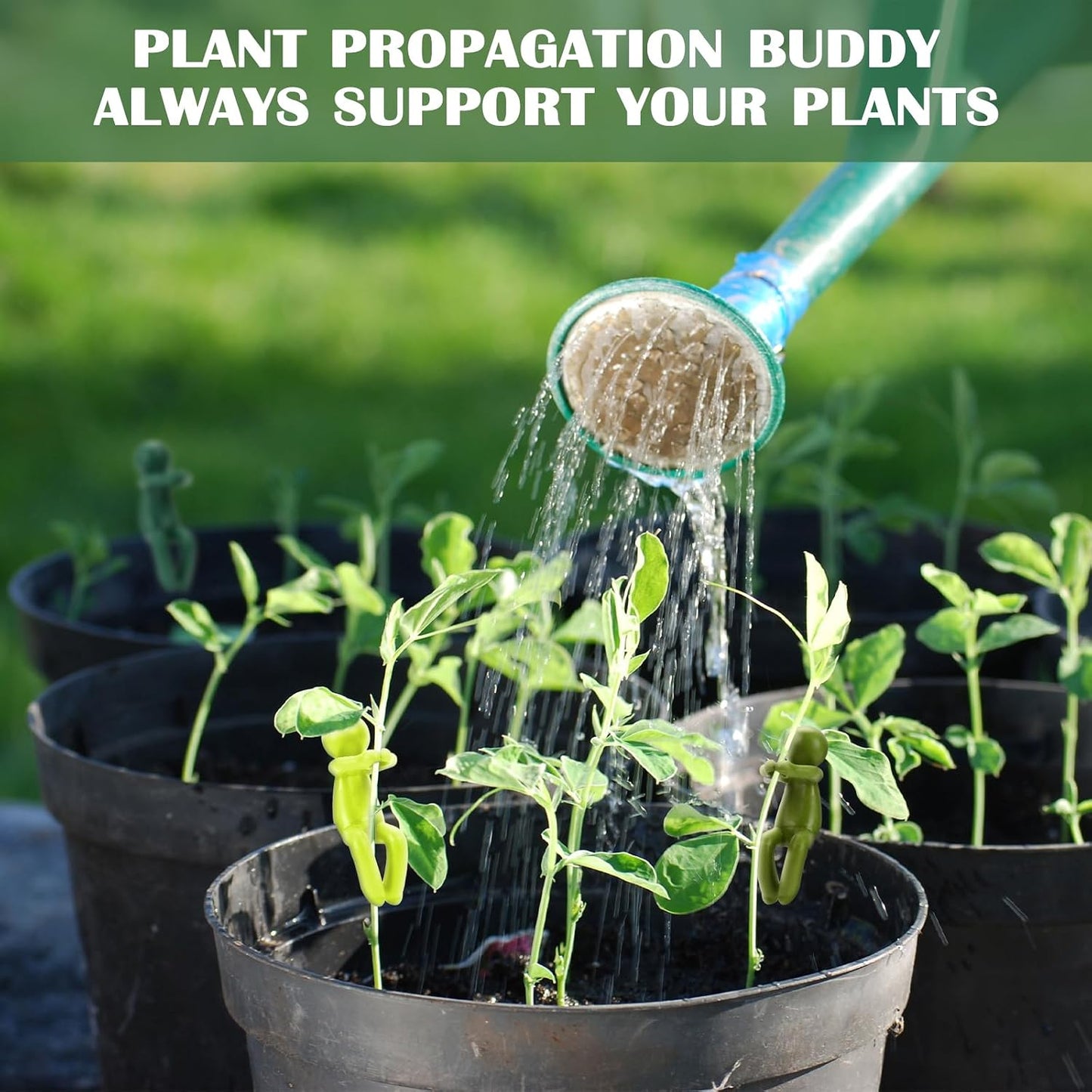 Soporte plantas Leaf Buddy para brotes y esquejes jardín