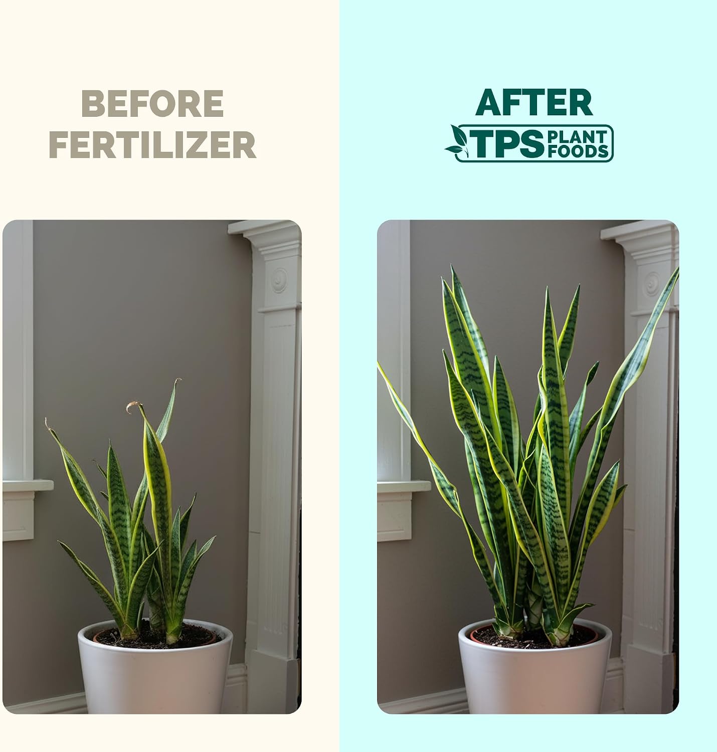 Fertilizante líquido para plantas serpiente 8oz