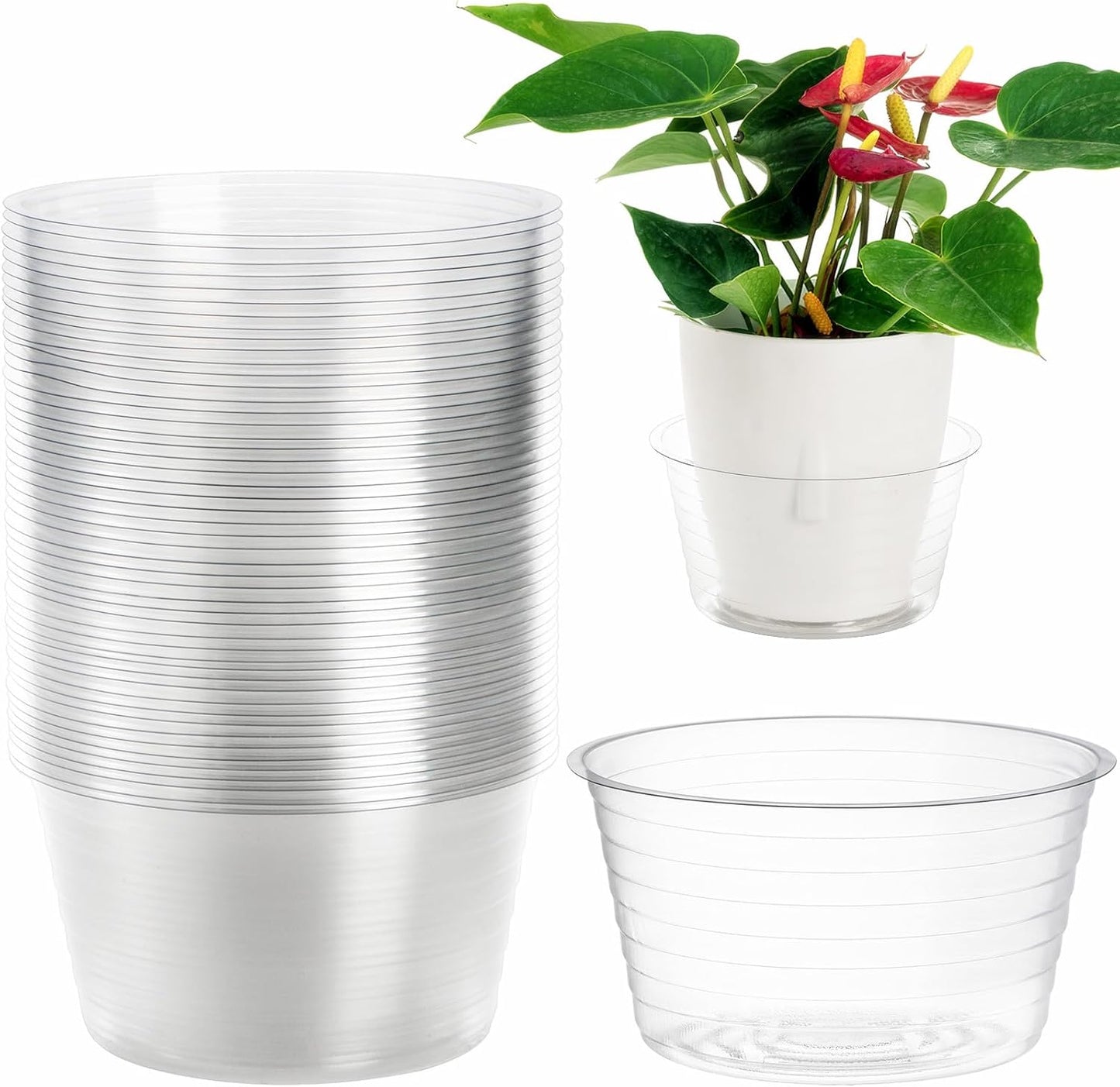 50 Platillos Plástico Transparente 6pulg Riego Plantas