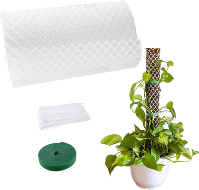 Kit malla plástica postes musgo para plantas trepadoras interiores