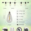 Tira luces LED 50ft 252 bombillas Edison para patio y pérgola