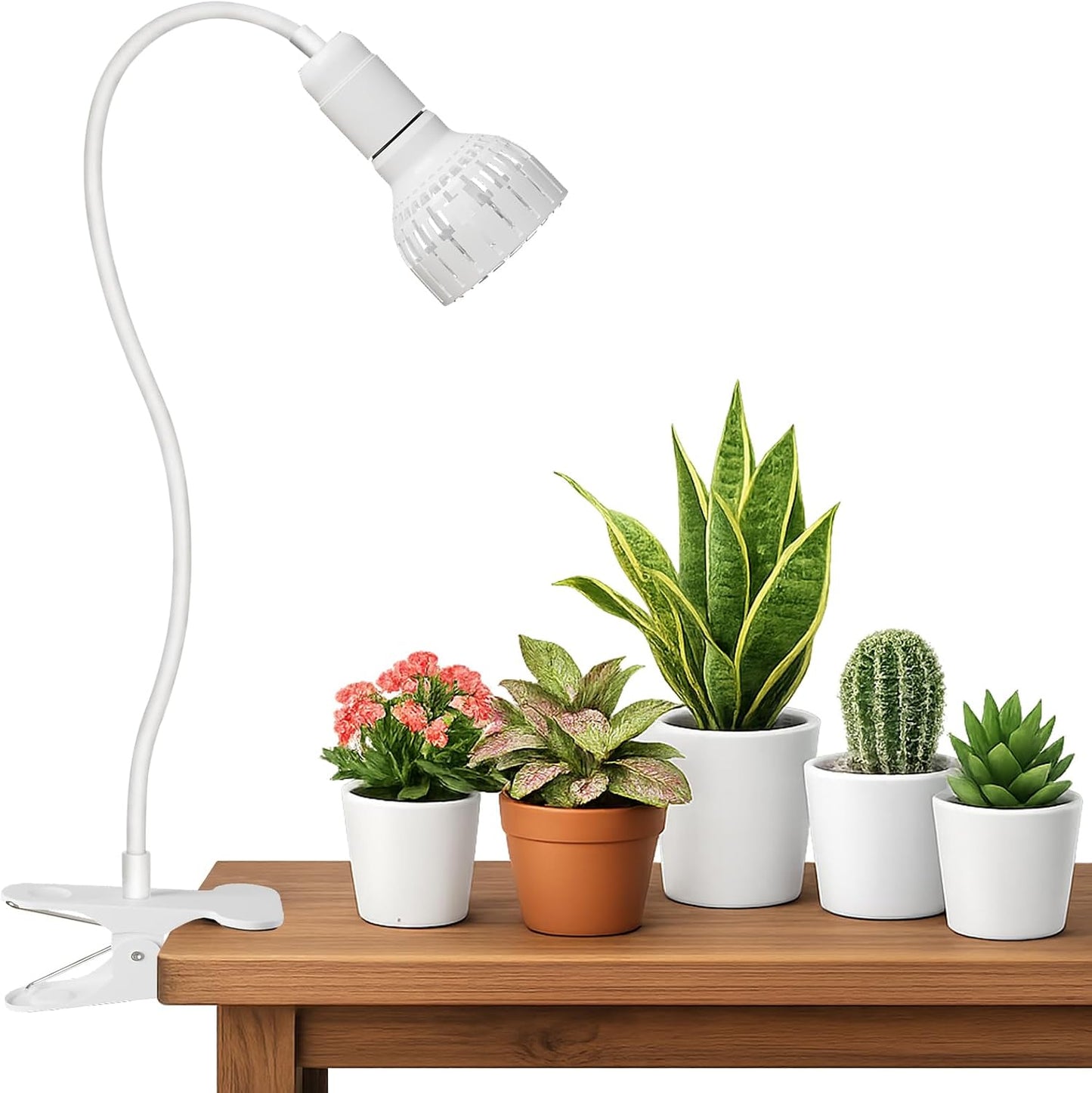 Luz LED crecimiento 5000K espectro completo para plantas