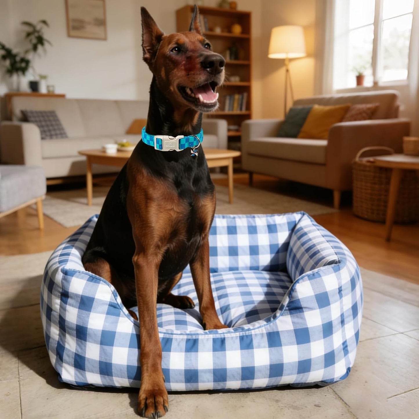 Collar perro cuadros ajedrez turquesa y azul regalo cachorro