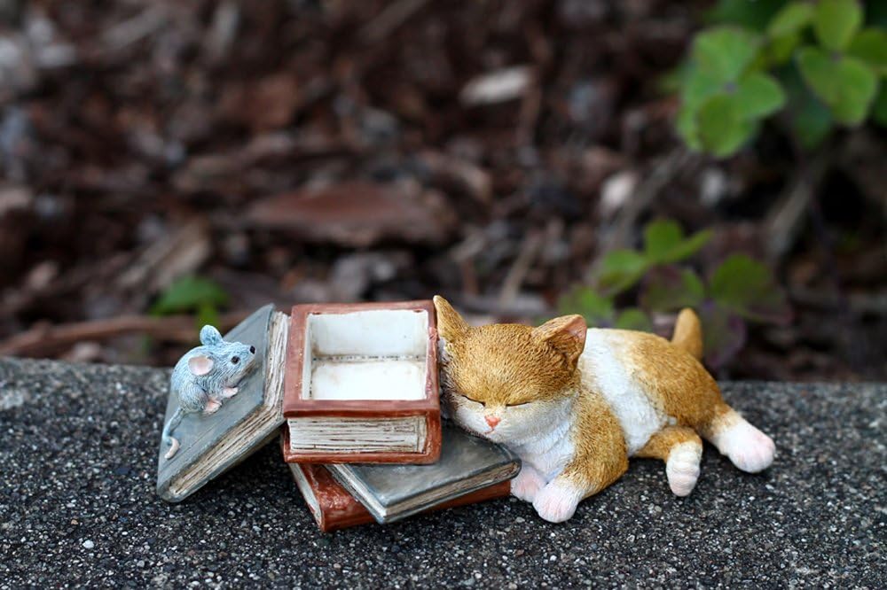 Decoración al aire libre Gatito siesta en libros y soporte anillos