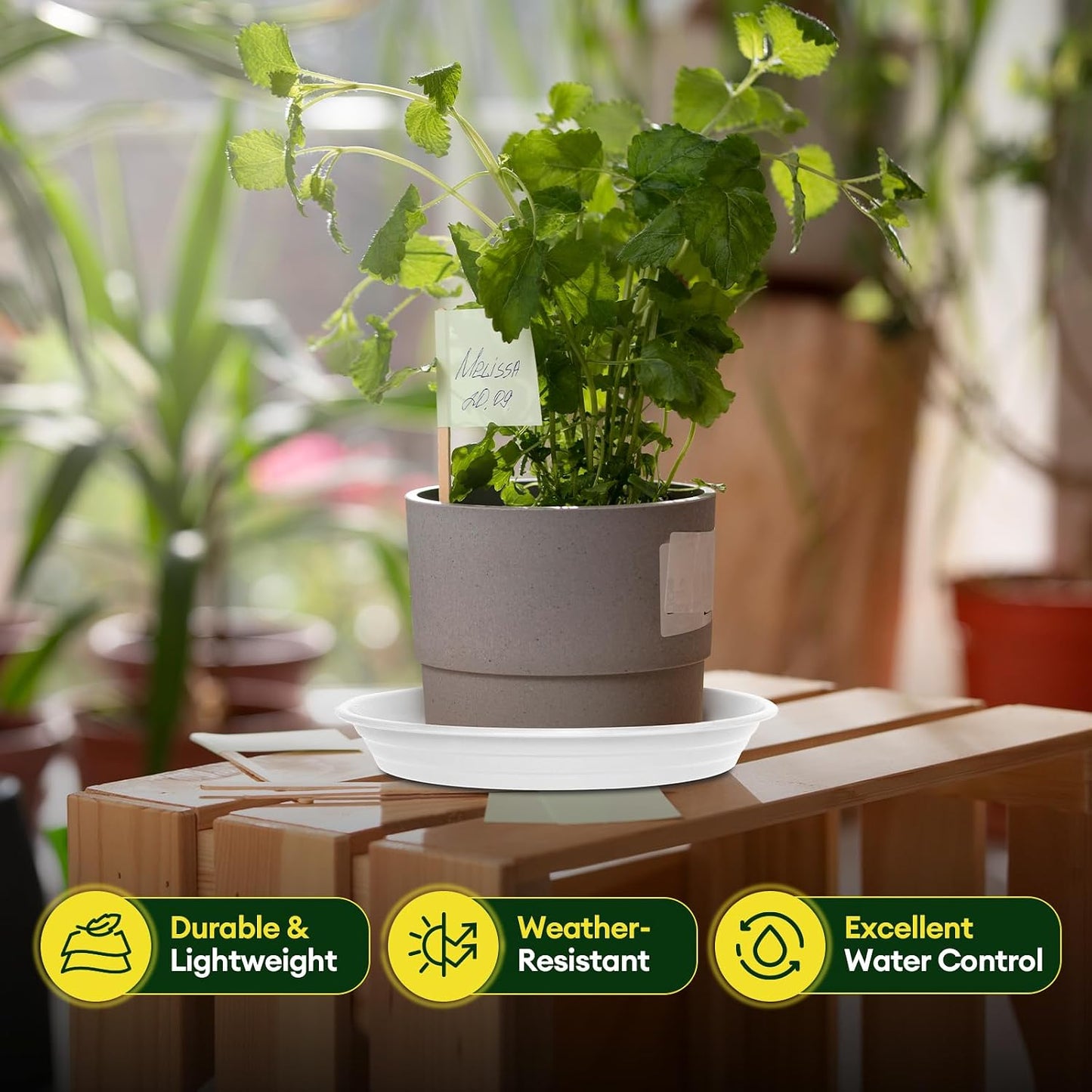 6 Pzas Bandejas Plástico 8-12pulg para Plantas Interiores