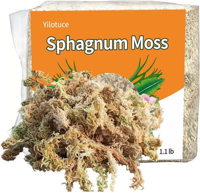 Musgo esfagno para enraizamiento de plantas 1.1lib