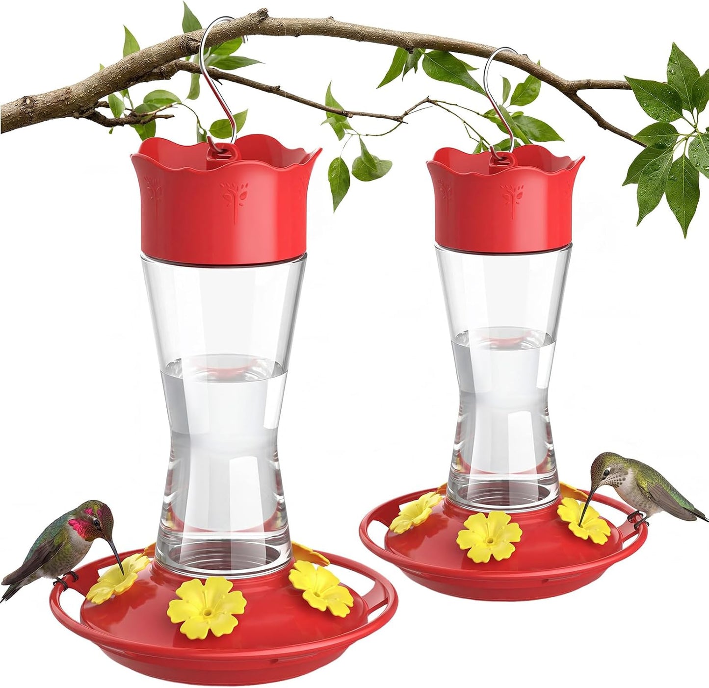 2 Comederos Vidrio Colibríes 10oz Aire Libre Antifugas