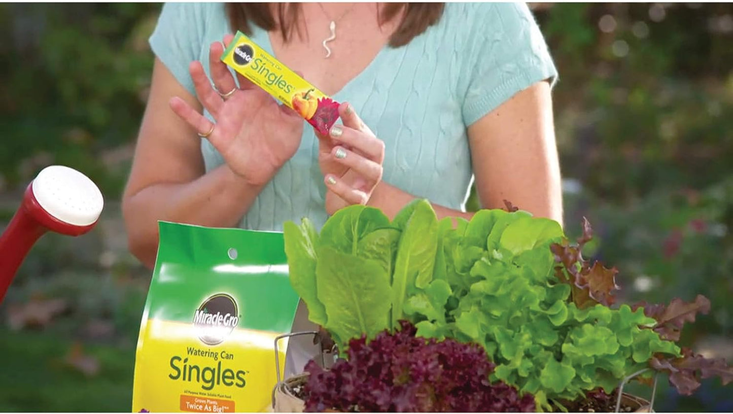 Regadera alimento vegetal soluble 24 paquetes