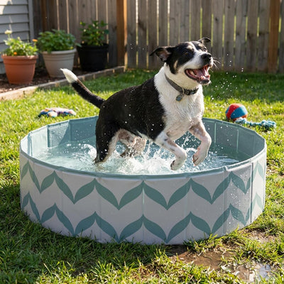Piscina plegable para perros grandes PVC resistente antideslizante