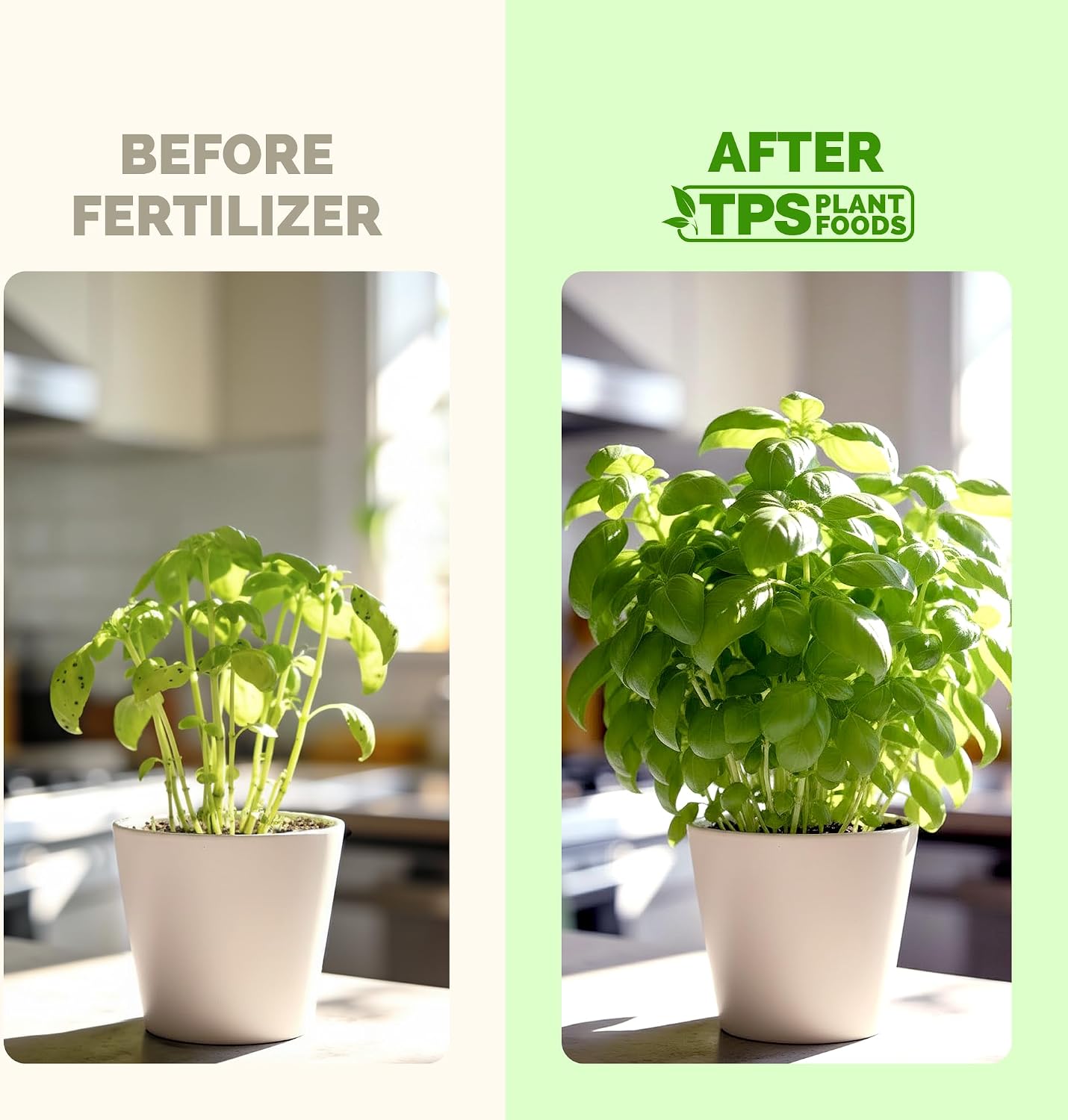 Fertilizante liquido albahaca menta romero tomillo 8oz