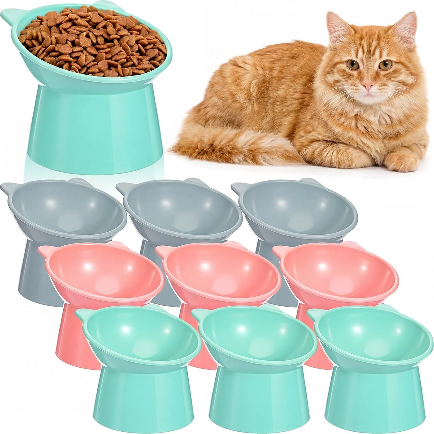 9 Cuencos Plástico para Gatos Inclinados 15 Grados Anti Vómitos