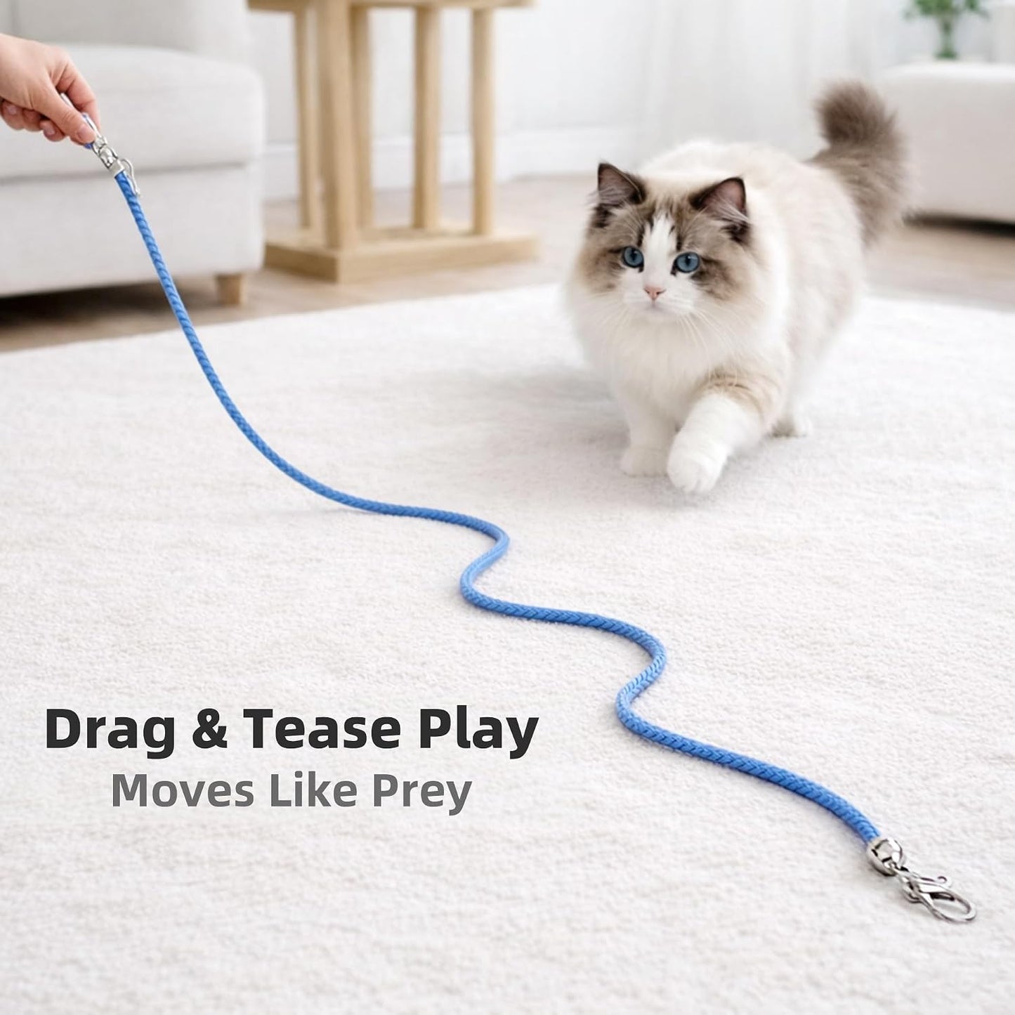 5 Cuerdas Algodón para Gatos con Clips y Campana