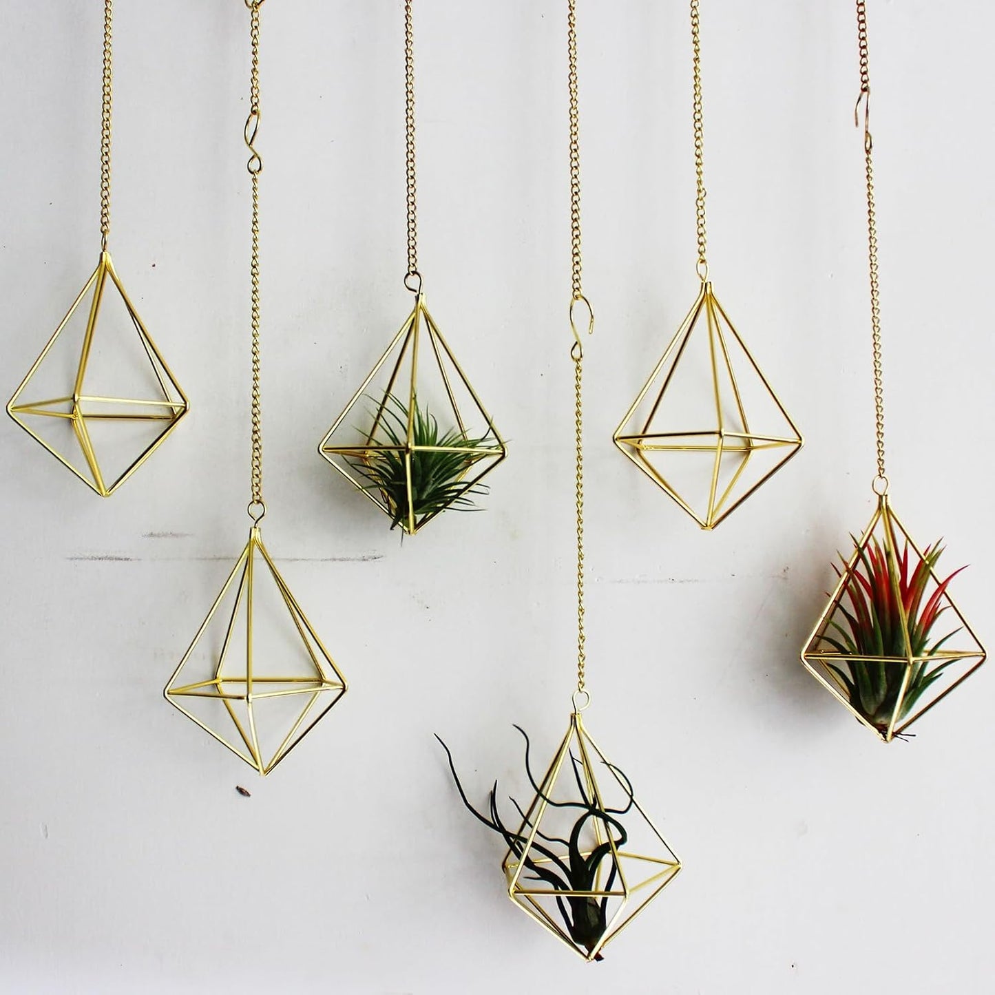 Soportes para plantas de aire 6 pzas colgante Glod con cadena