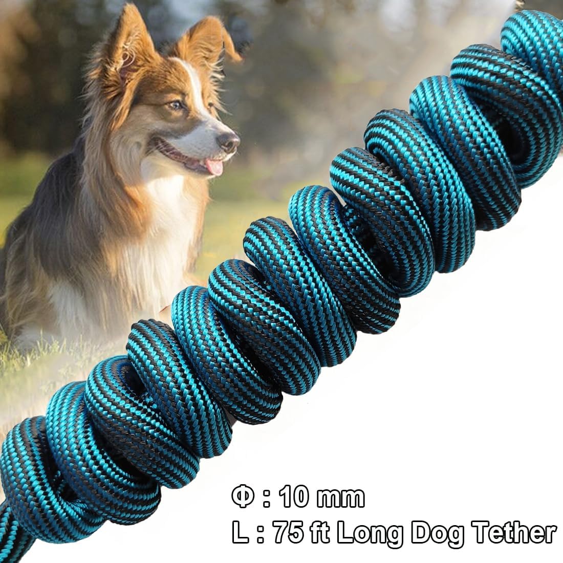 Correa cuerda para perros larga 8-75pies entrenamiento aire libre