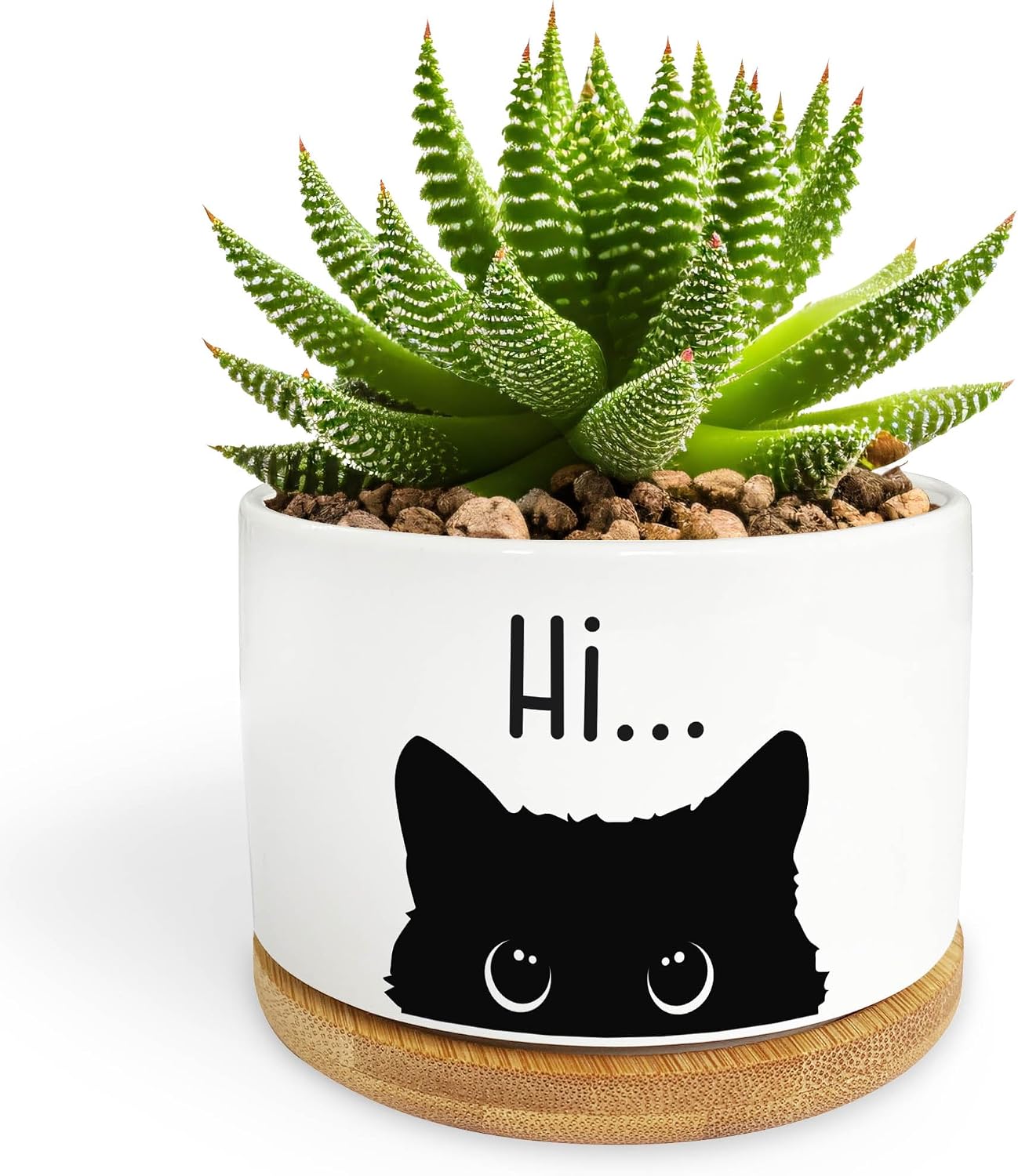 Maceta cerámica forma gato para suculentas decoración