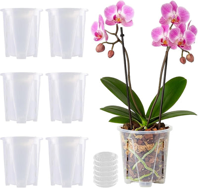 6 Pzas Macetas Plástico 4pulg Orquídeas con Drenaje