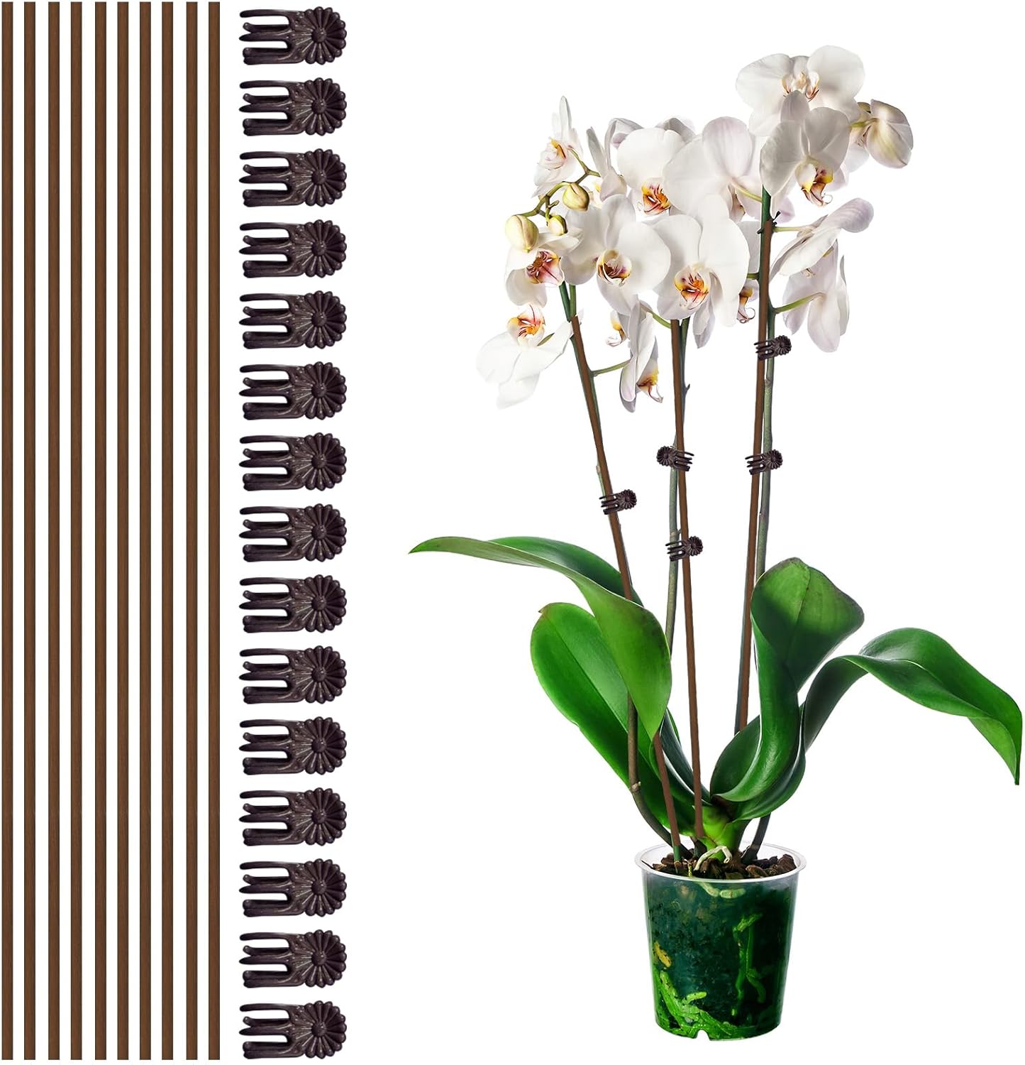 10 Estacas Soporte Plantas 15 Clips 18pulg Marrón