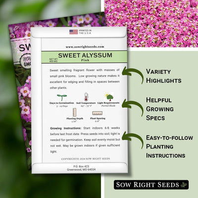 Semillas Alyssum Sweet Pink anuales para bordes y contenedores