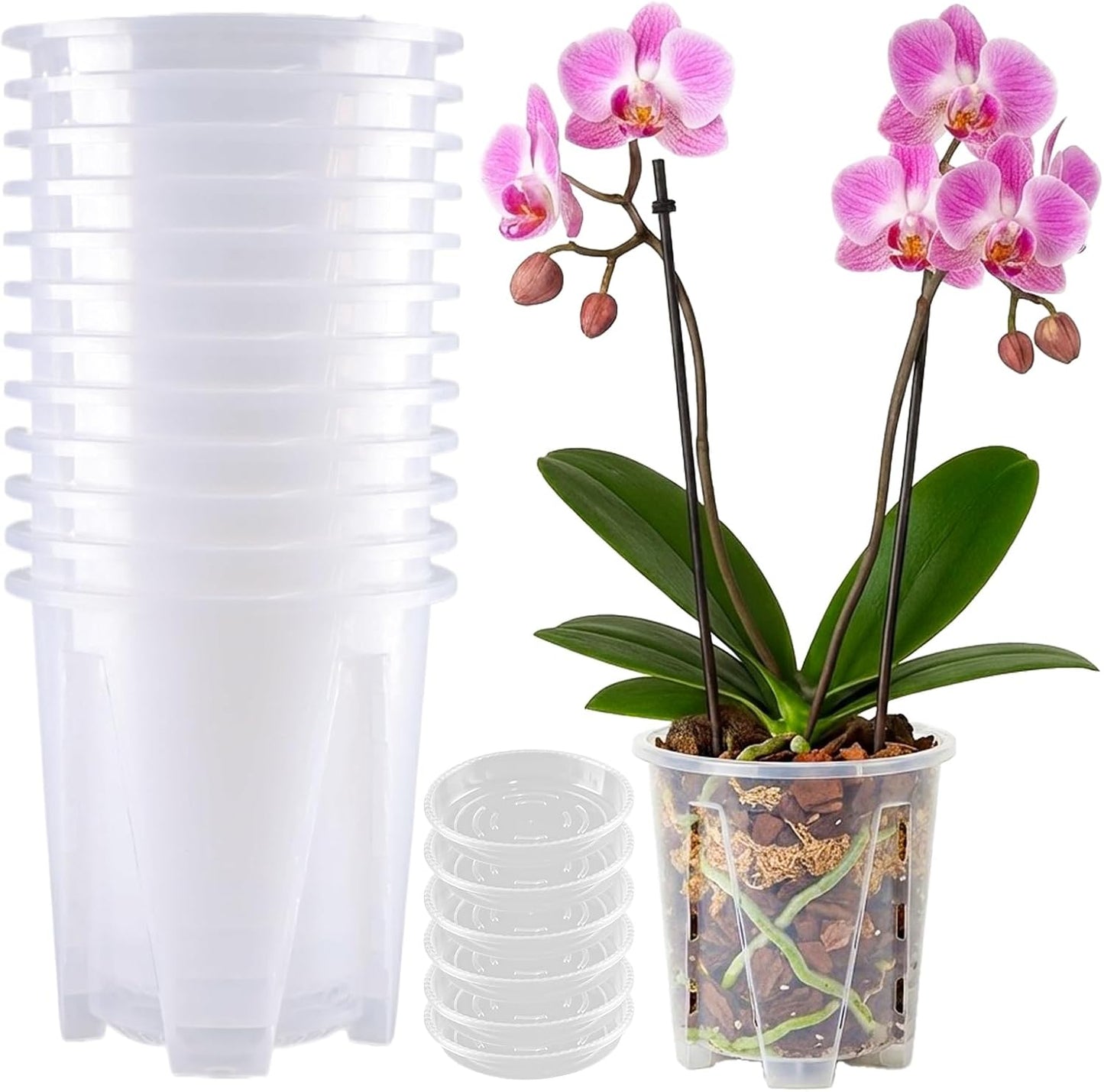 Maceta orquídea 12 Pzas plástico transparente 5.5pulg drenaje