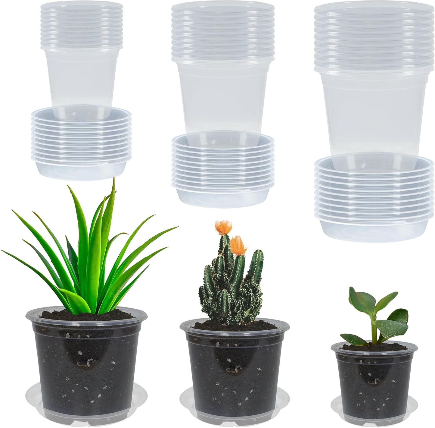 30 Macetas Transp. 3/4/5pulg Drenaje y 30 Platillos para Plantas