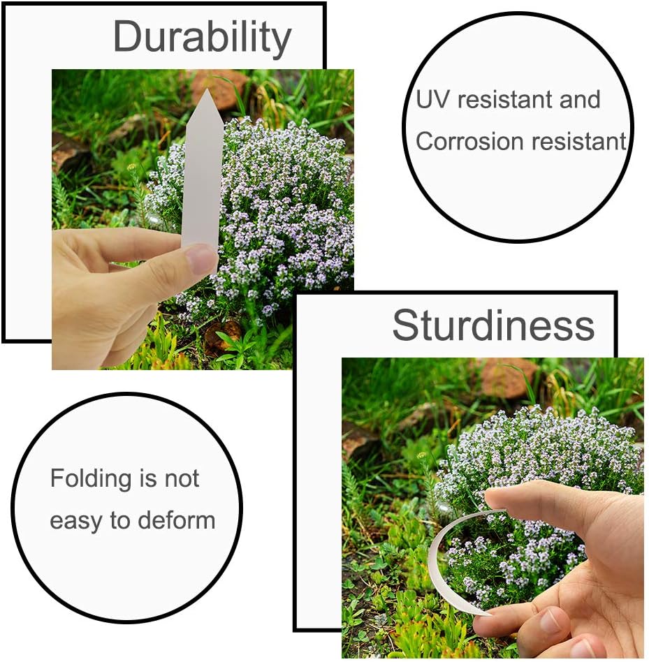 100 Etiquetas Plantas Jardín Impermeables Blanco