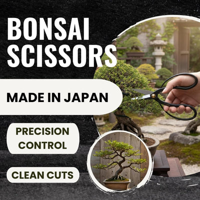 Tijeras bonsái acero carbono 7pulg fabricadas Japón