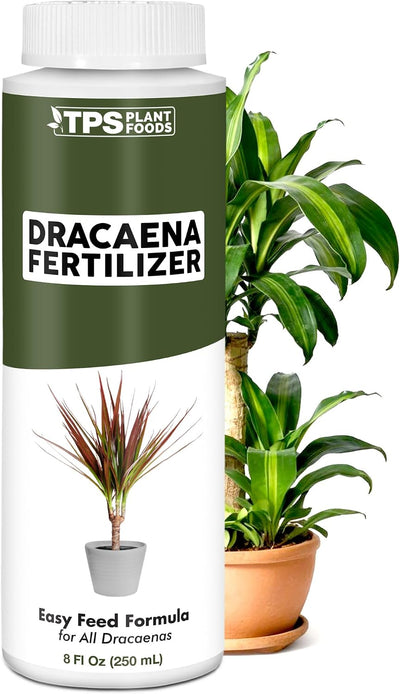 Fertilizante Dracaena para hojas verdes 8oz