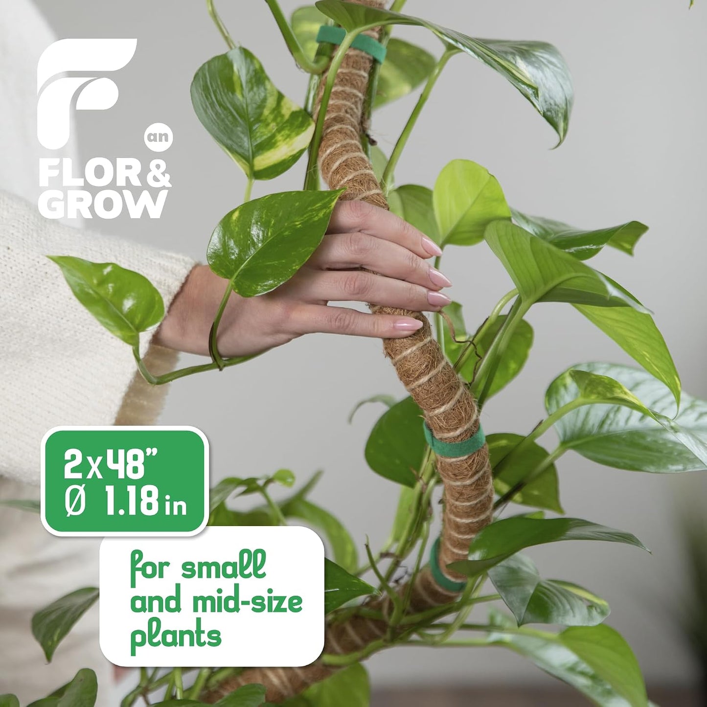 2 Pzas Estacas Soporte Monstera 48pulg para Plantas Interiores