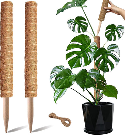 2 Soportes Monstera 17pulg Fibra Coco Poste Musgo