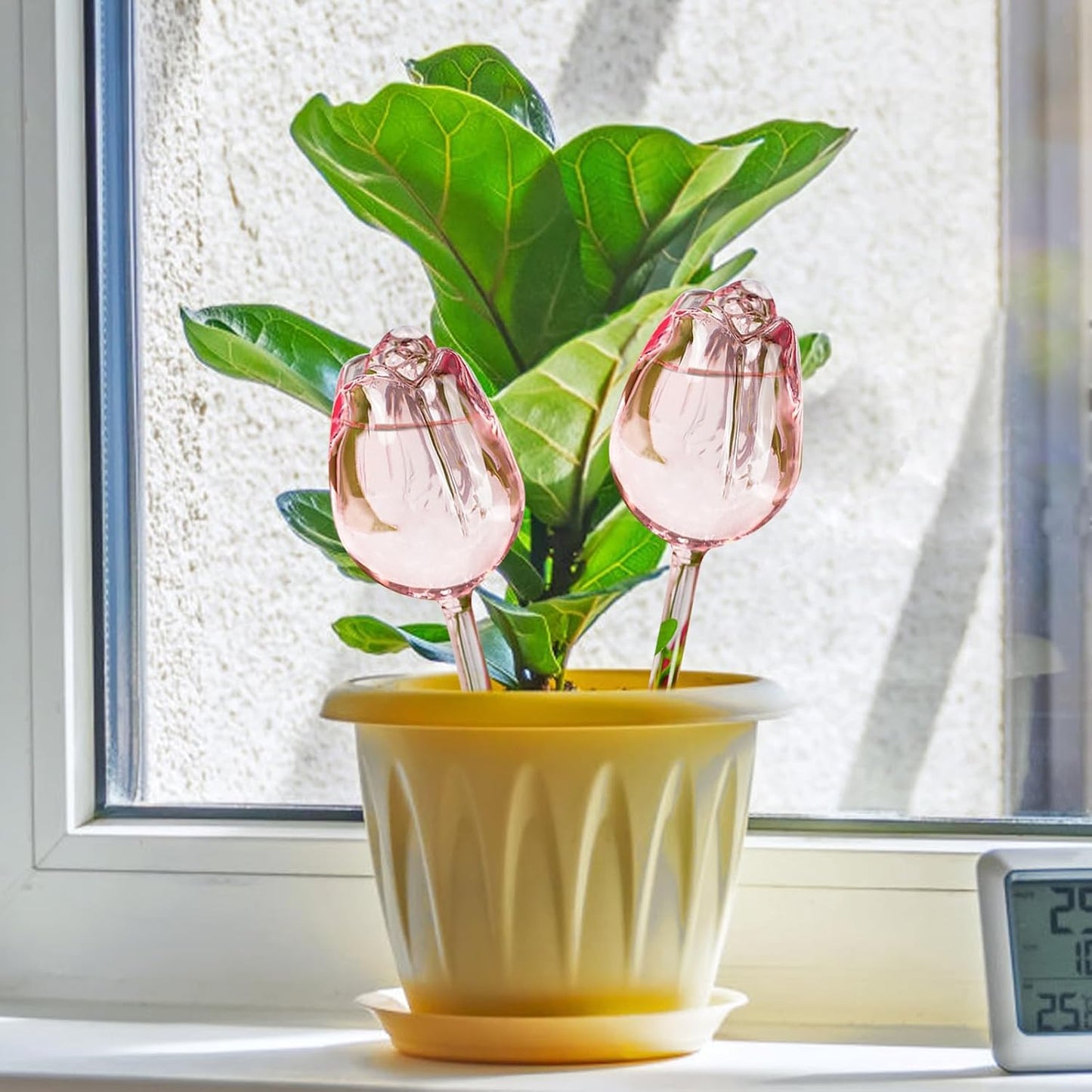 2 Pzas Globos Riego Automático Tulipán Vidrio Rosa