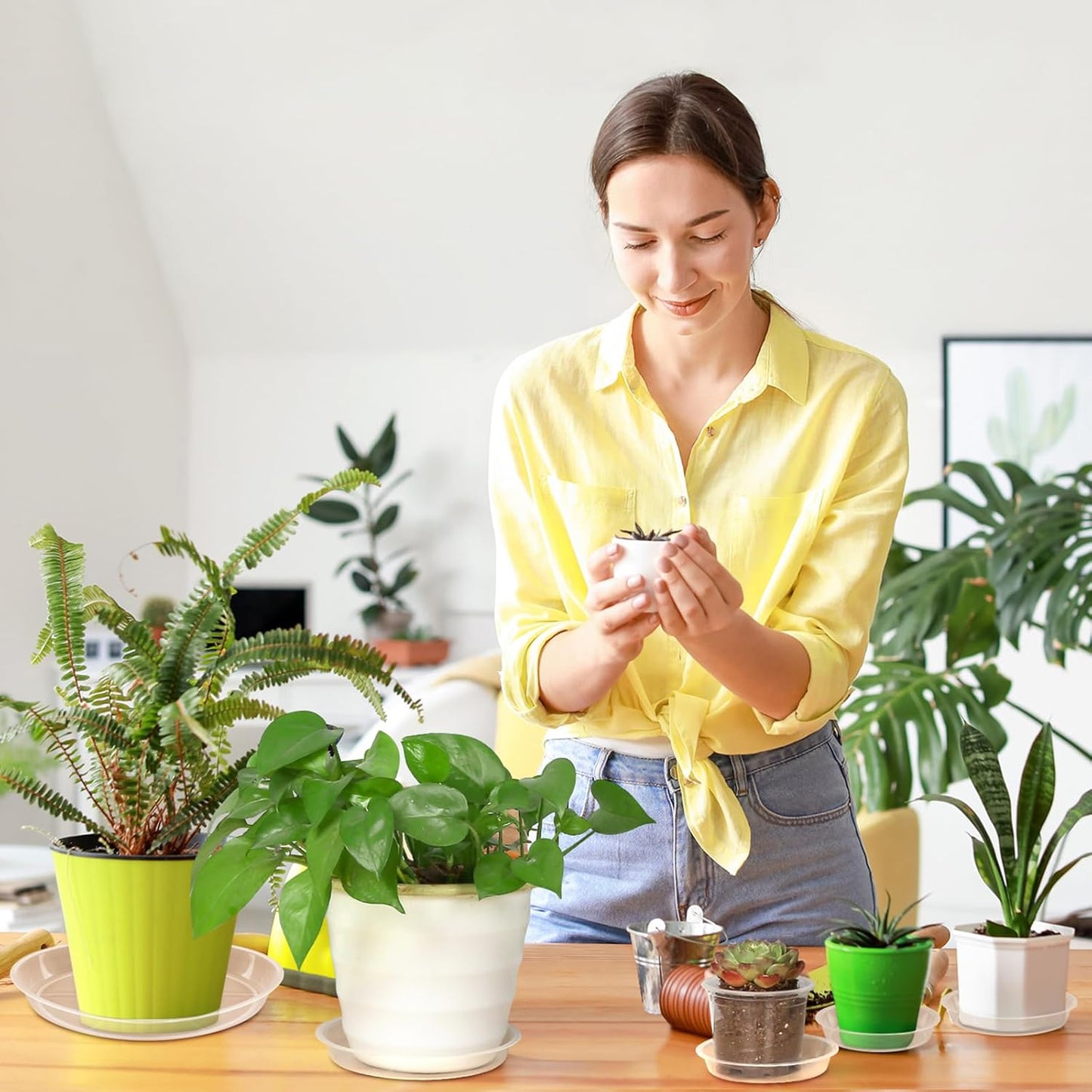 6 Pzas Bandejas Planta Transparentes Sin Agujeros