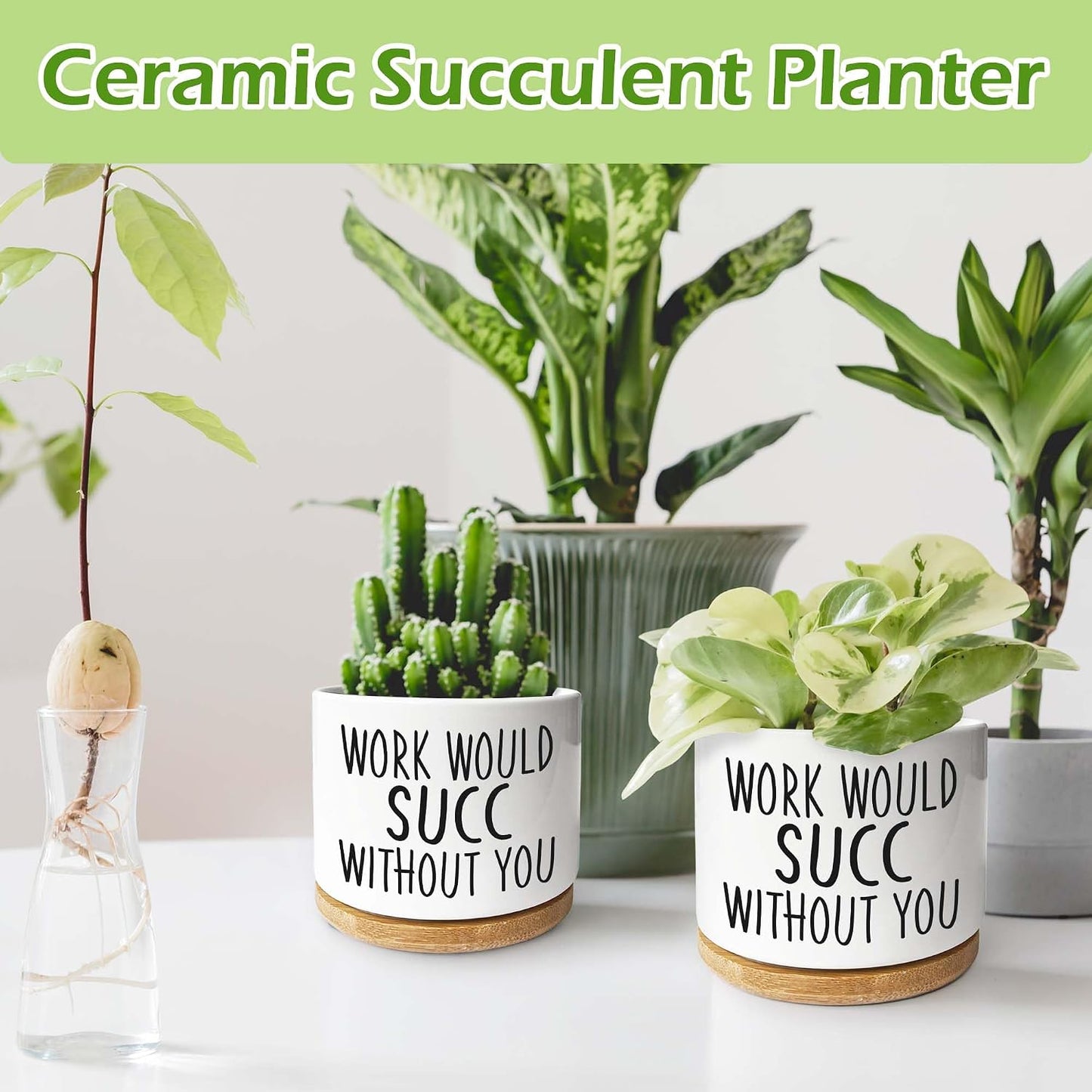 Maceta cerámica 3.5pulg cactus escritorio