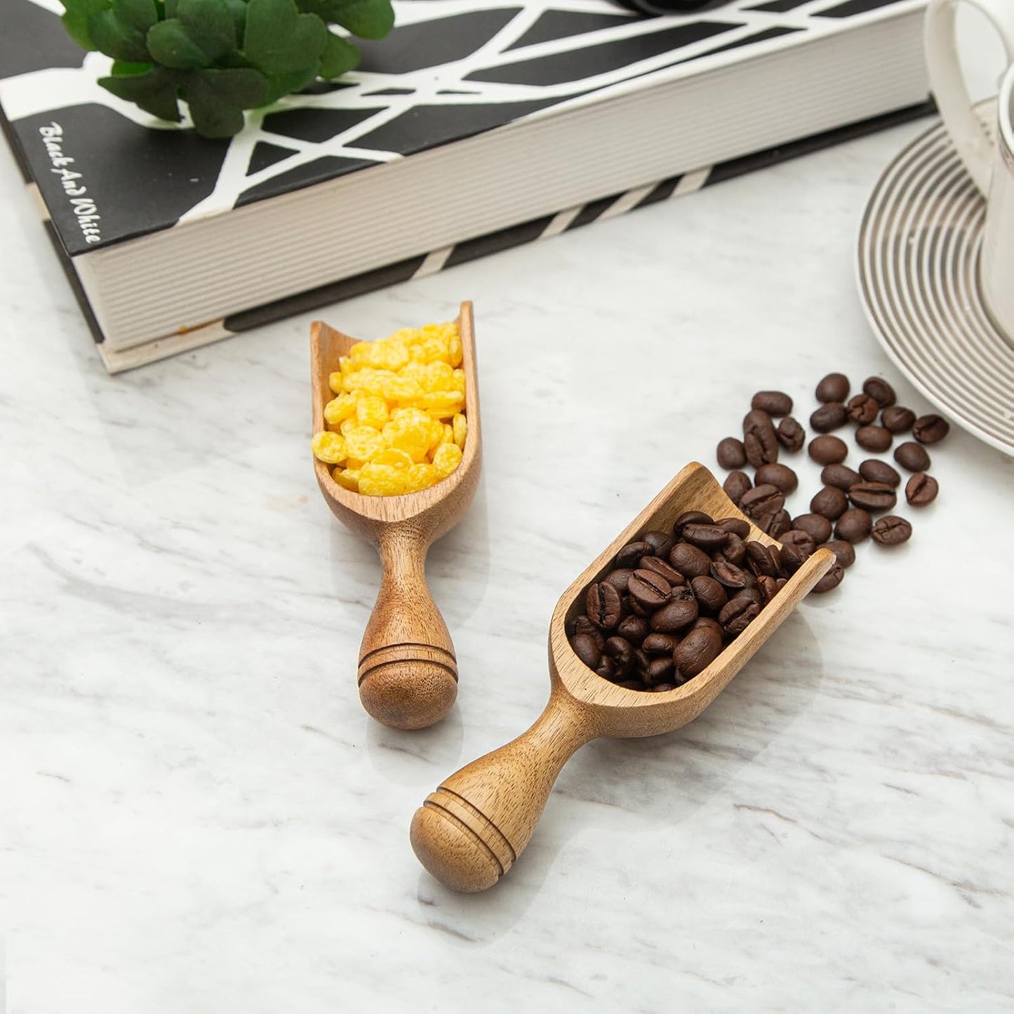 Cucharas de acacia para café, baño y lavandería