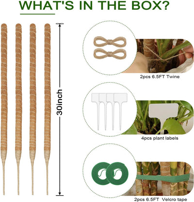 4 Postes Musgo Flex 30pulg para Monstera y Plantas Trepadoras