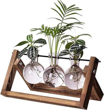Estación propagación terrario 3 jarrones vidrio madera Boho