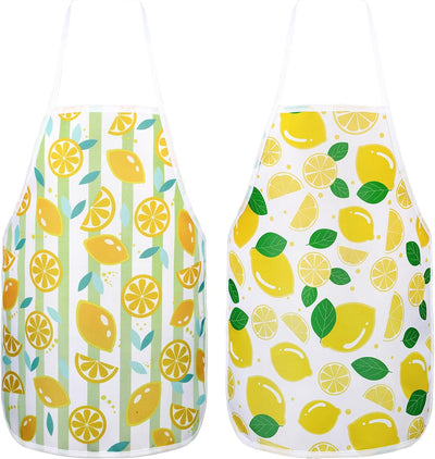 2 Delantales para Suministros de Cocina