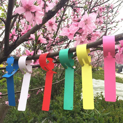 120 Etiquetas Plástico 6 Colores para Plantas Jardín