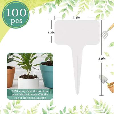 100 Etiquetas Plástico Tipo T Blanco para Plantas